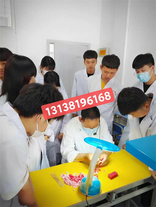 石家莊白求恩醫(yī)學(xué)院分數(shù)線