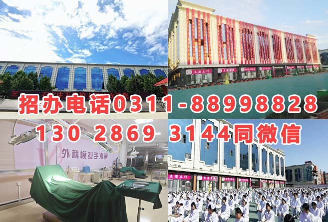 石家莊天使護士學(xué)校2026年招生分?jǐn)?shù)線是多少？